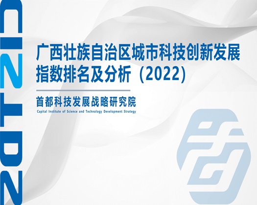 大鸡巴操骚逼里面好爽视频【成果发布】广西壮族自治区城市科技创新发展指数排名及分析（2022）